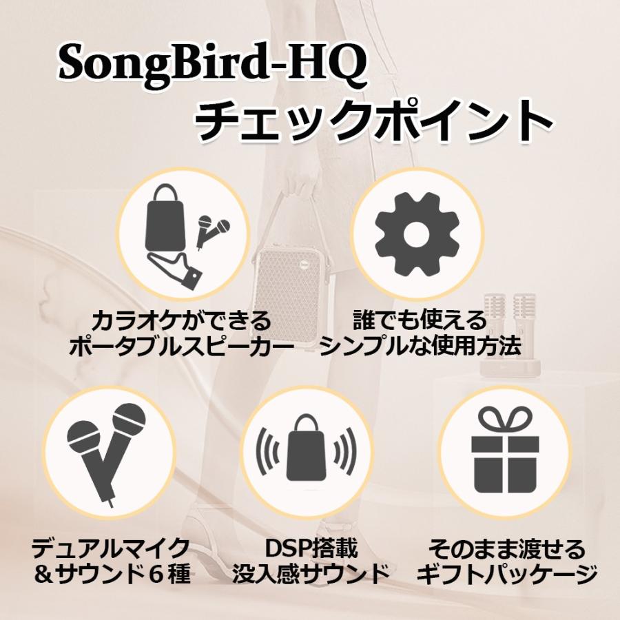 Divoomソングバード SongBird HQ カラオケ スピーカー Bluetooth