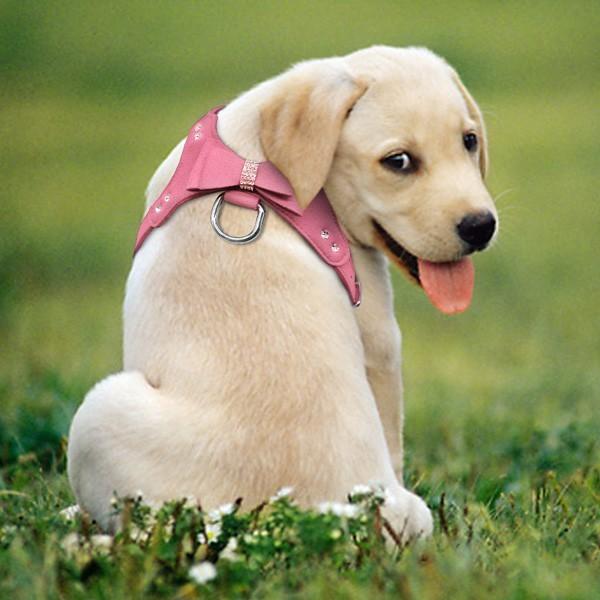 犬 リボンのハーネスとリードのセット 首輪 ハーネス リード リボン