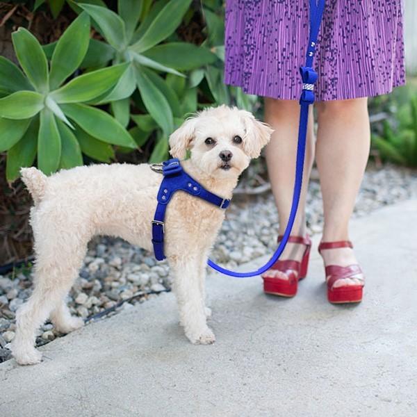 犬 リボンのハーネスとリードのセット 首輪 ハーネス リード リボン キラキラ ラインストーン かわいい 可愛い おしゃれ ワンちゃん 送料無料 Fa Grace Yahoo 店 通販 Yahoo ショッピング