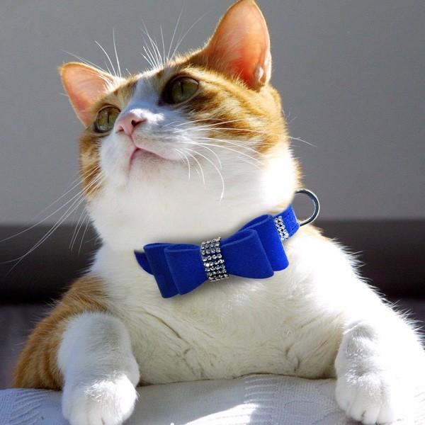 リボン首輪(パープルローズ)&リードセット、わんちゃん猫ちゃん用 リボン付き猫首輪【KASUMIパープル×ライラック】（バックル
