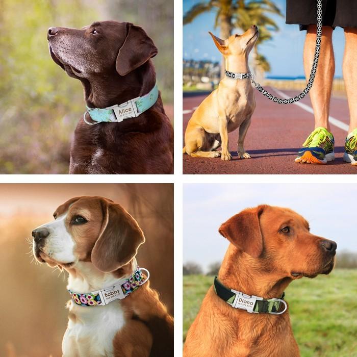 犬 首輪(単品) 6種のプリント柄 名前入り 名入り ナイロン製 かわいい