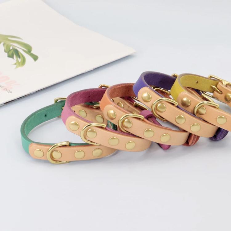 犬 猫 首輪 名前入り 本革 レザー ゴールド かわいい おしゃれ 小型犬