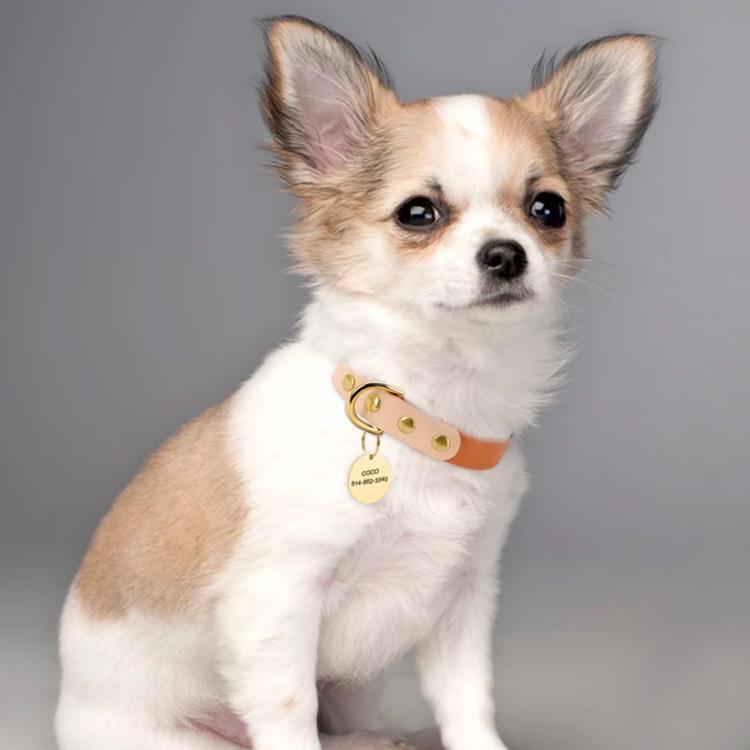 犬 猫 首輪 名前入り 本革 レザー ゴールド かわいい おしゃれ 小型犬 中型犬 迷子札 名札 電話番号入り S Mサイズ 海外受注発注 約3 4週間後発送予定 Pe Grace Yahoo 店 通販 Yahoo ショッピング