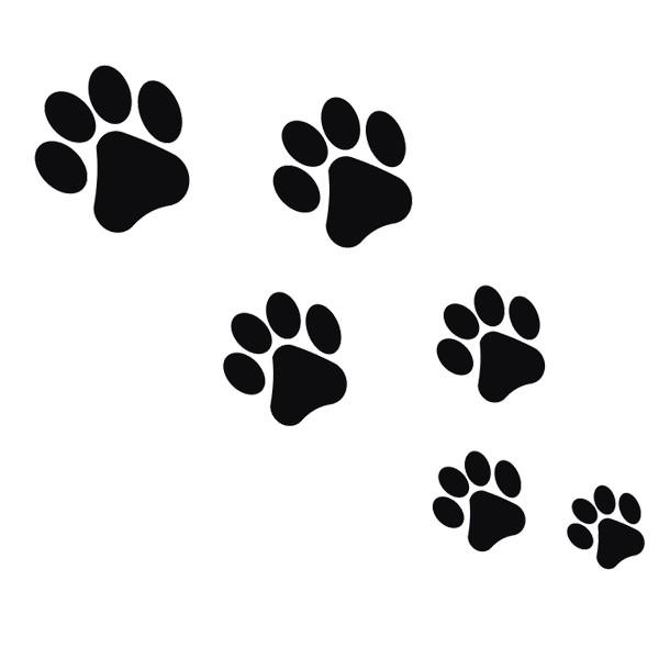 犬 首輪 ラメ ハートチャーム付き 犬用 猫用 おしゃれ ペット用首輪 キラキラ スワロフスキー おしゃれ 可愛い 首輪 メール便 W Grace Yahoo 店 通販 Yahoo ショッピング