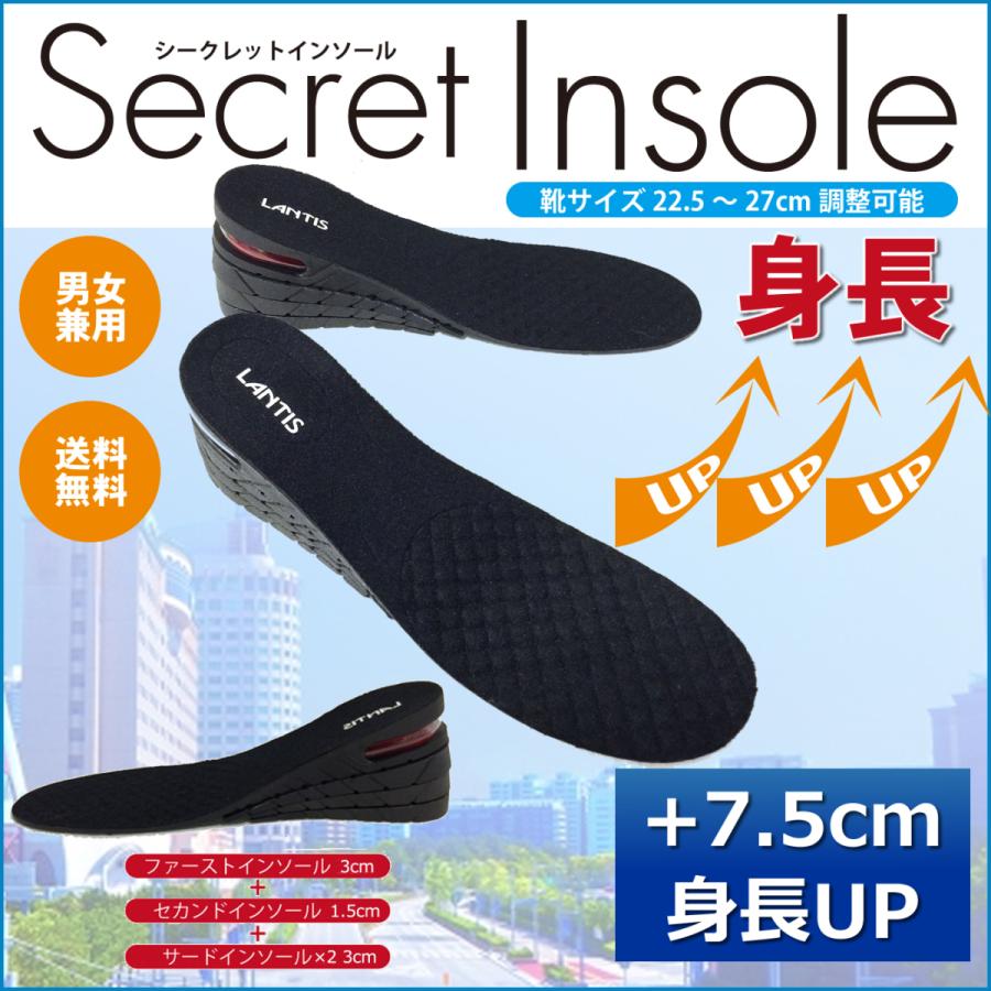 88%OFF!】 シークレットインソール 22.5cm 27cm 中敷き 2cm 男女兼用 シークレットインソール 2cm 中敷き 22.5cm 27cm 男女兼用