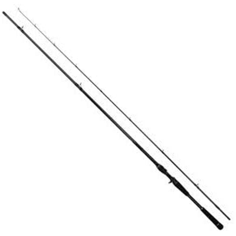 【即購入⭕️】 ダイワ(DAIWA) シーバスロッド ラテオ・R ベイトモデル 標準全長:2.13m LATEO 70HB 【2619570566】(13160円)