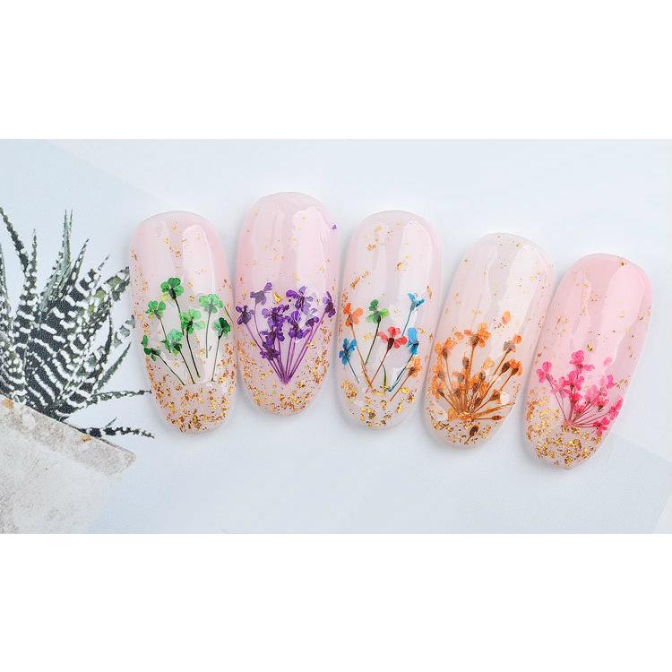 ネイルジュエリー ネイルパーツ ビジュー デコパーツ セット 福袋 フラワー 花 3d 立体的 桜 クローバー 可憐 大人可愛い ピンク イエロー オレンジ Aeb44 Aeb44 ライバルはデパートgracefulsmile 通販 Yahoo ショッピング