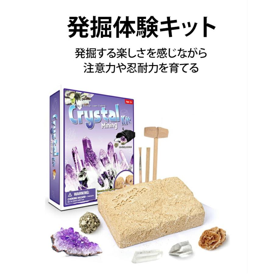 在庫あり 知育玩具 男の子 女の子 プレゼント 誕生日プレゼント 入学祝い 化石 発掘 宝石 おもちゃ 6歳 7歳 8歳 9歳 10歳 キット 知育 おしゃれ Ama24 Materialworldblog Com