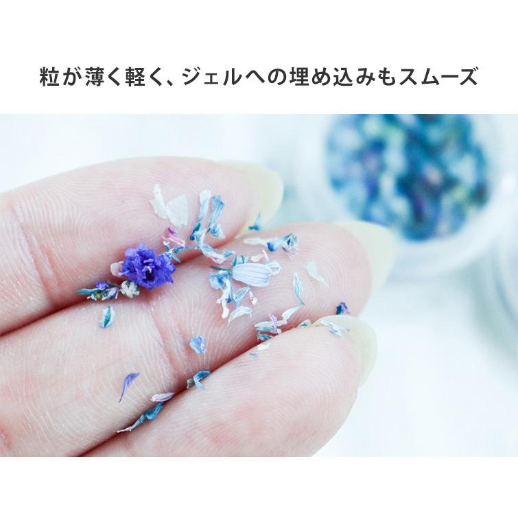 gracegarden（グレースガーデン） 極薄 薄い 押し花ネイルパーツ