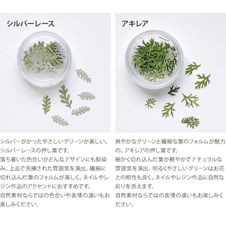 gracegarden（グレースガーデン） ネイルパーツ 天然素材 ボタニカル
