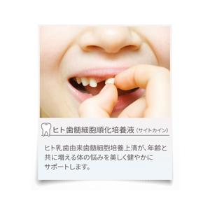 BELURA 美肌エッセンス 30ml : 美容と健康の通販サイト Grace.net 