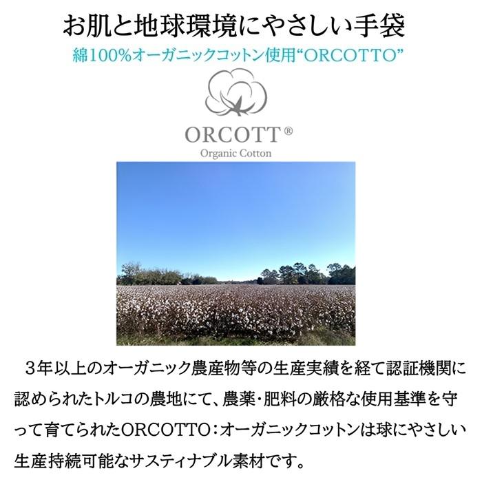 人気 綿100％ オーガニックコットン 肌にやさしい 綿手袋 おうち手袋 UV手袋 手荒れ 手の冷え性 乾燥対策 フィンガーレス  天然繊維 環境保護 紫外線対策 日本製 |  | 07