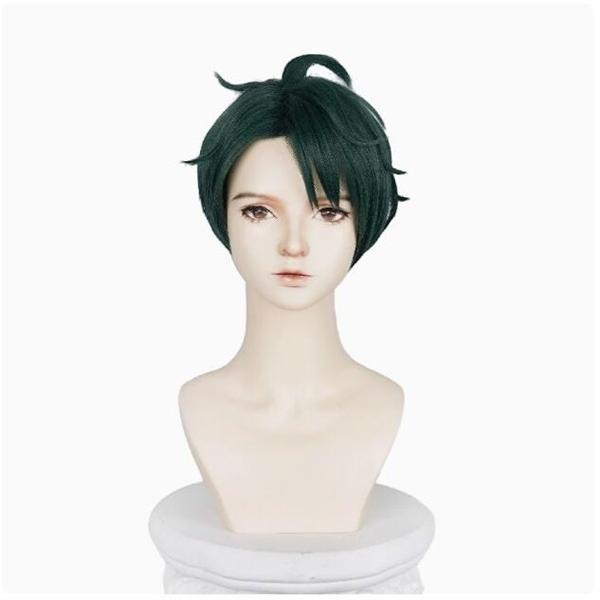 異世界スーサイド・スクワッド Joker 道化師 ハロウィン ハロウィン衣装 コスプレ衣装 ウィッグ 追加可_7