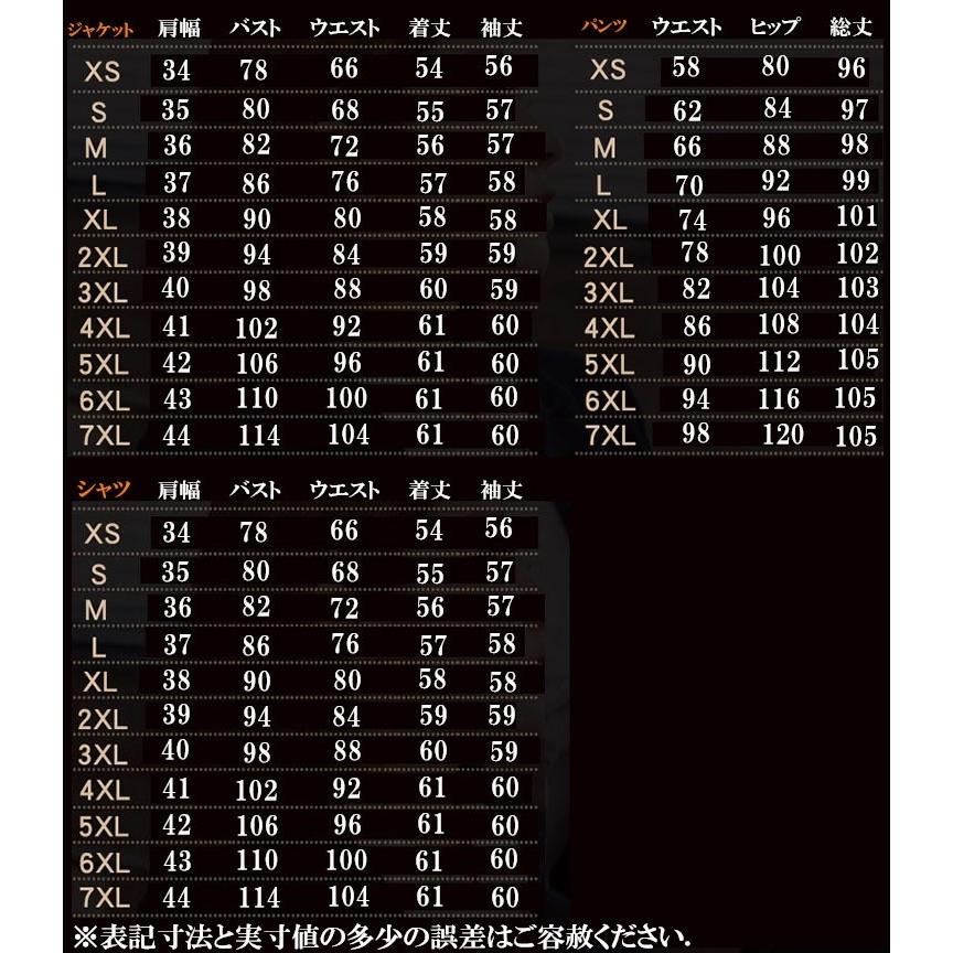 パンツスーツ リクルートスーツ セットアップ レディース 大きいサイズ