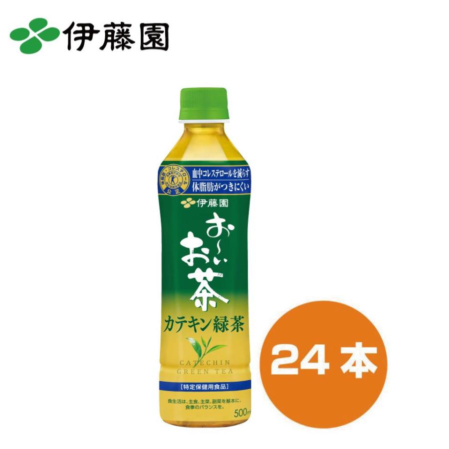 伊藤園 PET カテキン緑茶 500ml | お茶 お〜いお茶 緑茶 ペットボトル