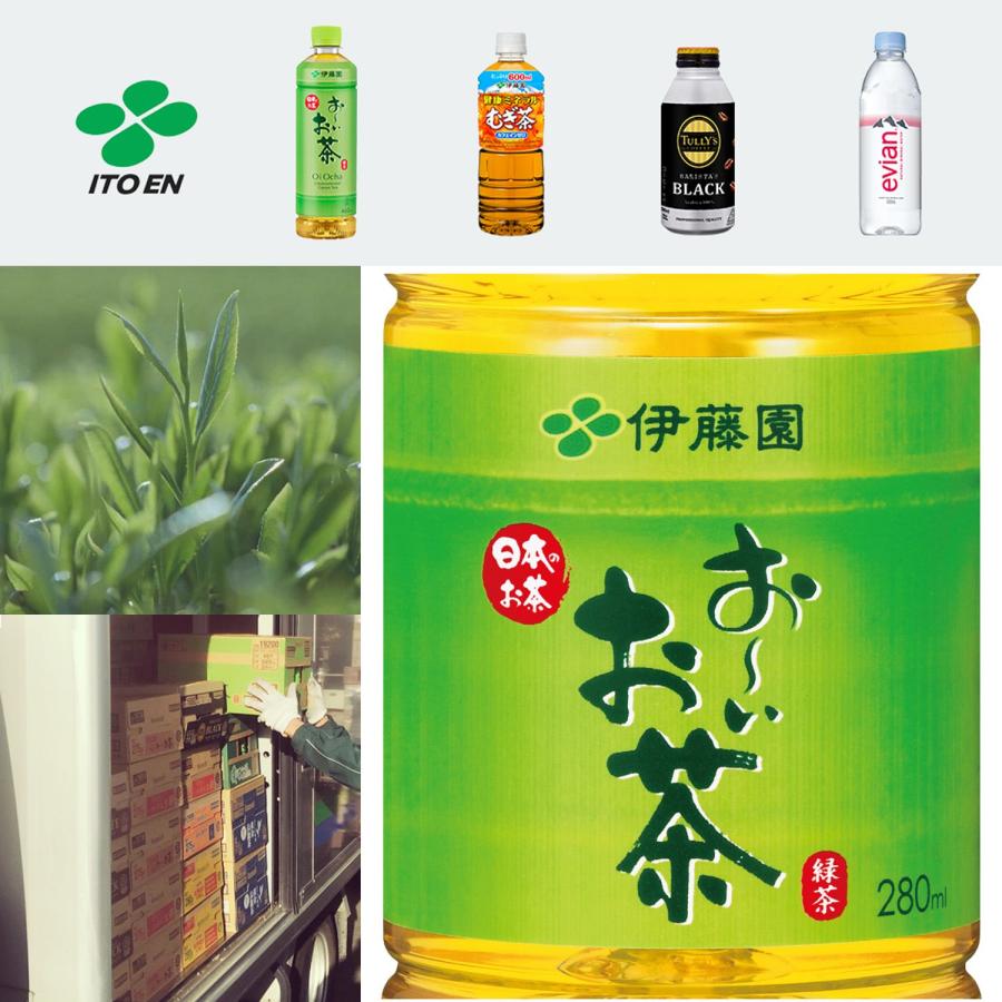 伊藤園　カテキン緑茶w 1ケース24本入×2ケース(48本) 伊藤園（ITO EN） 特定保健用食品 2つの働き カテキン緑茶 PET 500ml