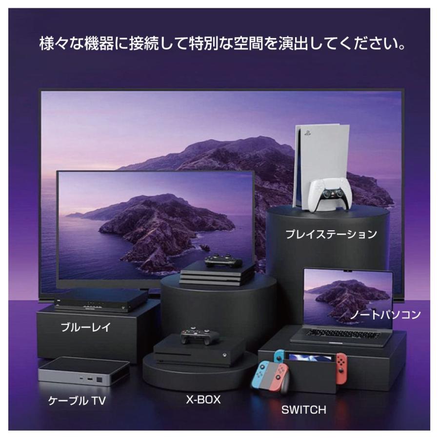 モニター イルミ LED ライト VSC アーティスティックライト55〜65