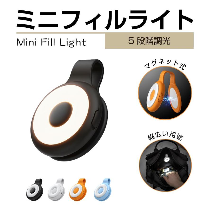 LED ライト LEDライト マグネット ミニフィルライト 全4カラー AWD