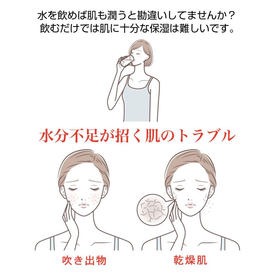 ハンディミスト ナノイオン 容量20ml 充電式 全2色 CE-HDMPW 加湿器
