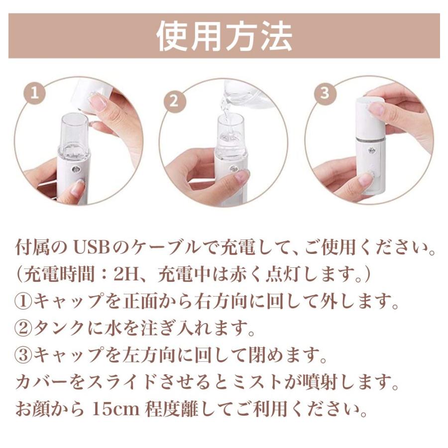 ハンディミスト ナノイオン 容量20ml 充電式 全2色 CE-HDMPW 加湿器