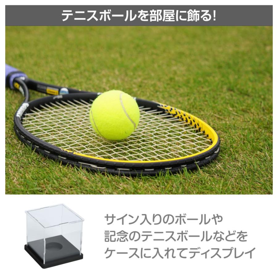 バレーボール サイン入り ミニボール ディスプレイケース付き サインボールケース サインボール ケース テニス ディスプレイケース