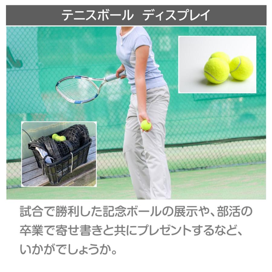 サインボールケース サインボール ケース テニス ディスプレイケース