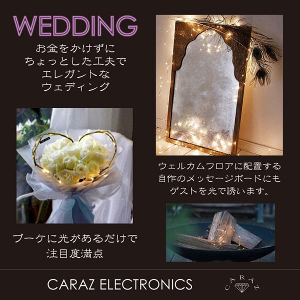 ジュエリーライト 1m 10灯 電池式 全3色 FW-LED1M | ネコポス 送料