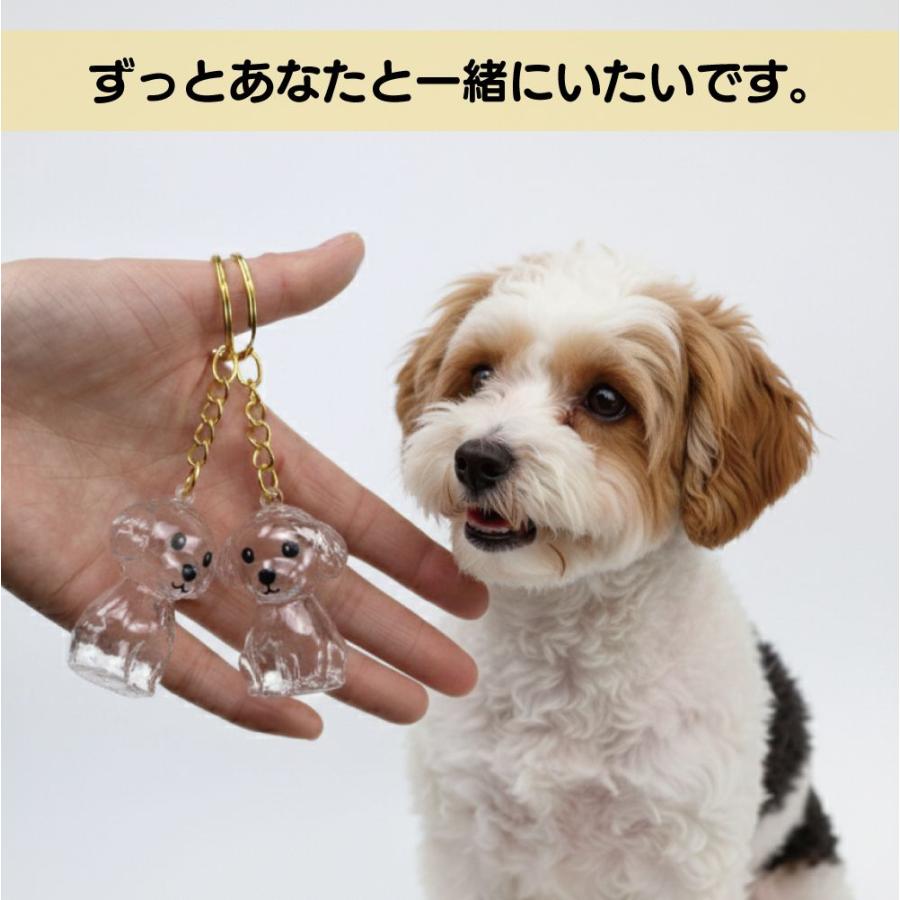 ペット キーホルダー 犬 毛 アクセサリー ペットメモリアル