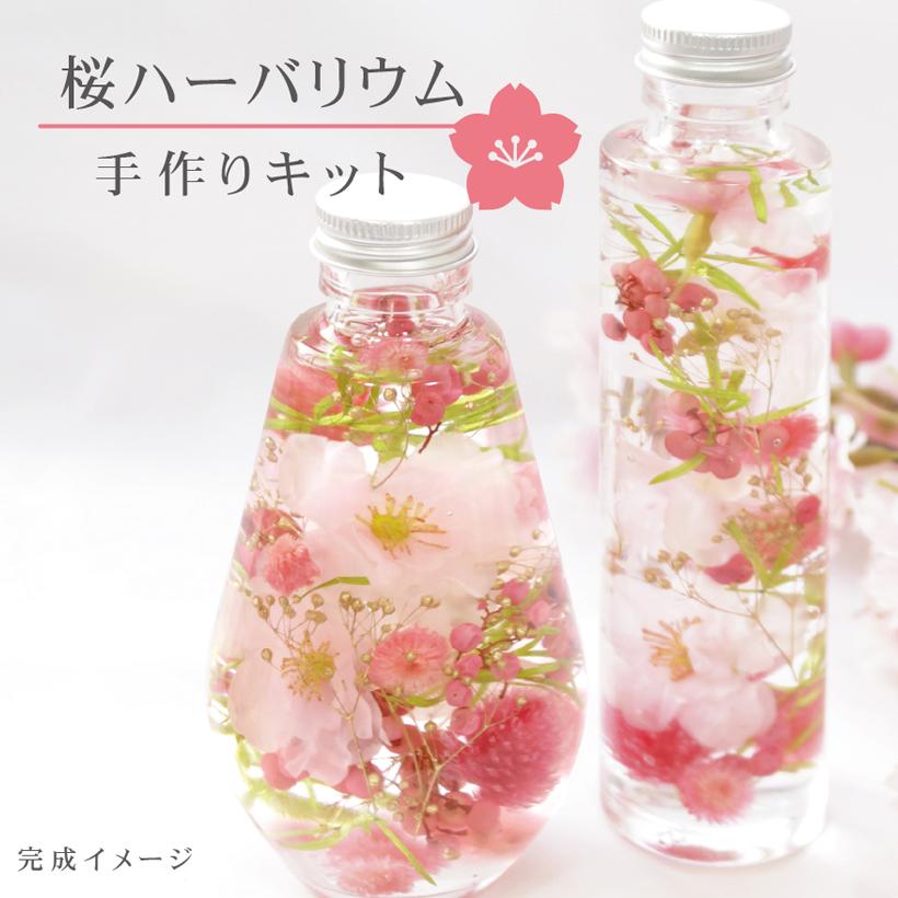 さくらハーバリウム キット プリザーブドフワラー 桜 選べる2種類 ワークショップ イベント 工作キット 男の子 女の子 女性 合格祈願 受験 母の日 卒業 入学（Yahoo!・グレイスヤフーショップ）
