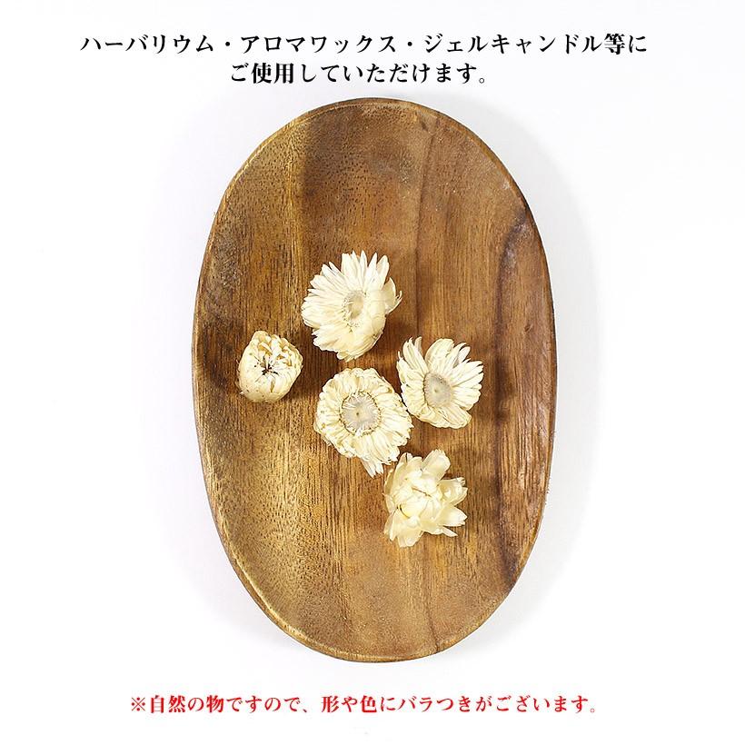 ヘリクリサム ホワイト ドライフラワー ドライフルーツ ハーバリウム アロマワックスバー ジェルキャンドル 小分け 作り方 説明書付き Driedflower Tc05 グレイスヤフーショップ 通販 Yahoo ショッピング