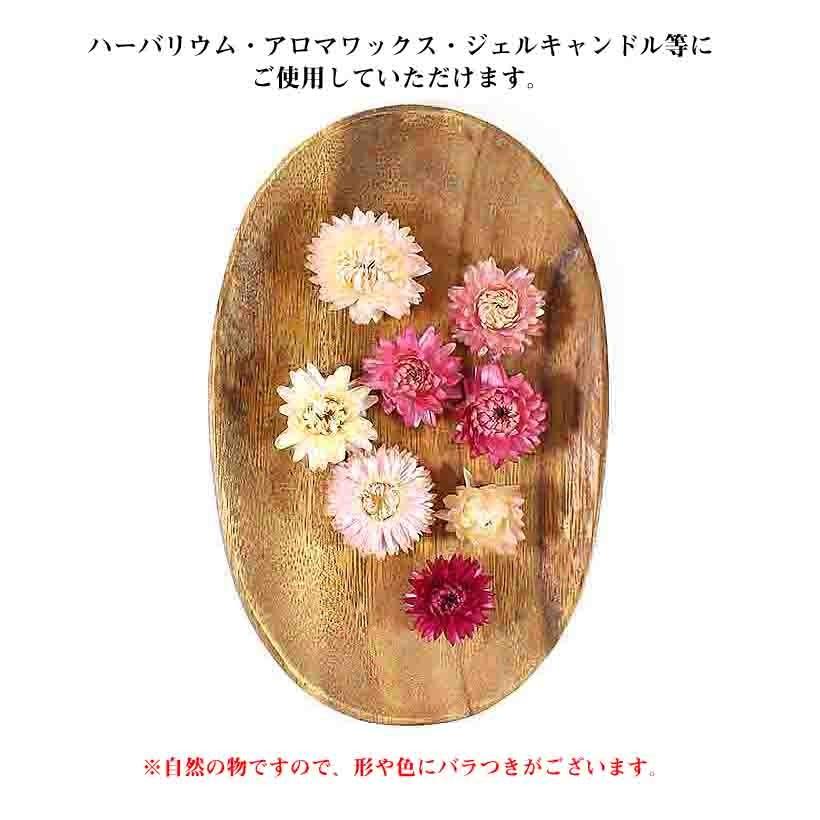 ヘリクリサム ピンク ドライフラワー ドライフルーツ ハーバリウム アロマワックスバー ジェルキャンドル 小分け 作り方 説明書付き Driedflower Tc06 グレイスヤフーショップ 通販 Yahoo ショッピング