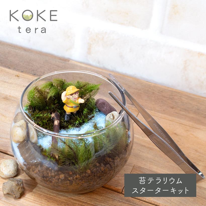 送料無料 苔テラリウム 手作り キット 冒険家 女の子 ヒノキゴケ タマゴケ プレゼント 人気 おしゃれ 観葉植物 インテリア 父の日 Koketera 07 グレイスヤフーショップ 通販 Yahoo ショッピング