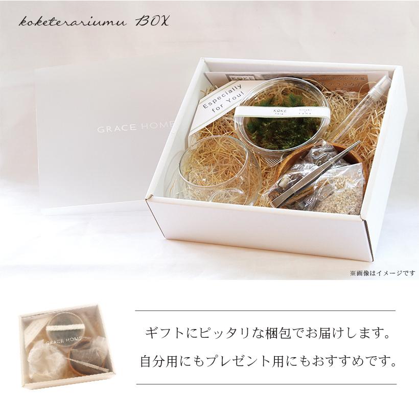 送料無料 苔テラリウム 手作り キット 牛 ヒノキゴケ タマゴケ プレゼント 人気 おしゃれ 観葉植物 インテリア 父の日 クリスマス 飾り Koketera 09 グレイスヤフーショップ 通販 Yahoo ショッピング