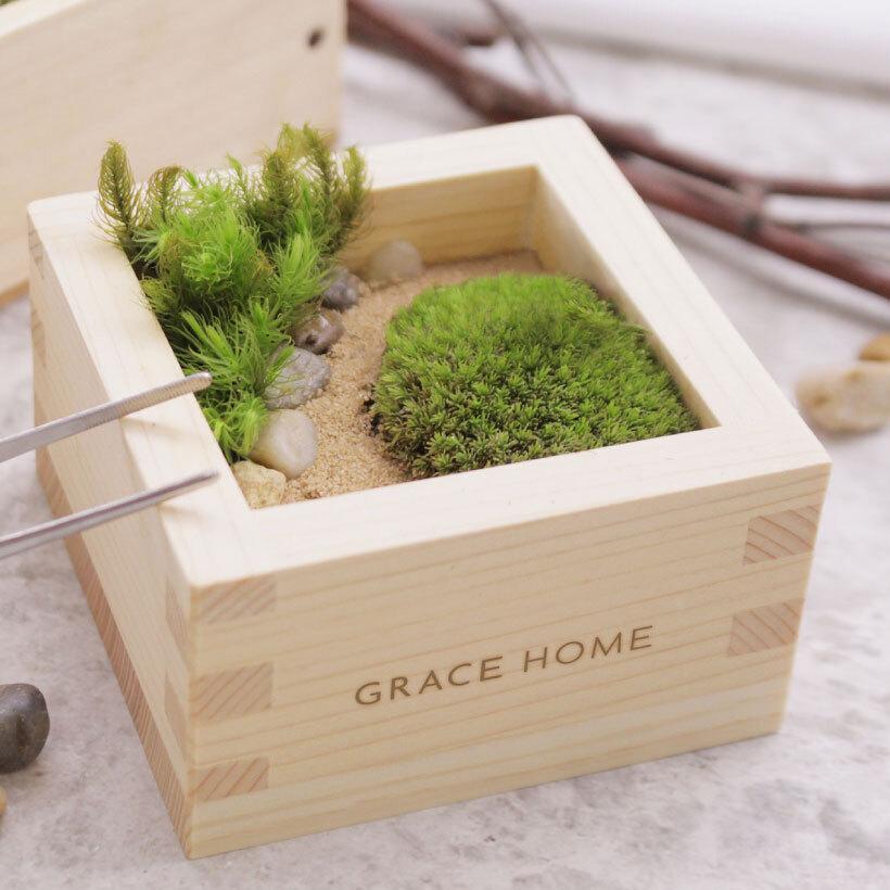 和風苔テラリウム 制作キット 檜 檜枡 ヒノキゴケ タマゴケ Grace Home 苔 ワークショップ イベント ギフト プレゼント 父の日 敬老の日 苔玉 箱庭 Koketera Masu グレイスヤフーショップ 通販 Yahoo ショッピング