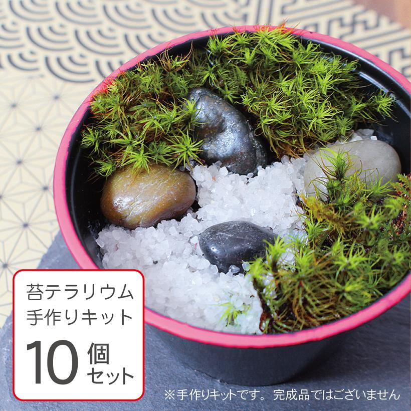 送料無料 苔テラリウム 手作り キット ミニ 10個セット 父の日 Koketera Mini 10p グレイスヤフーショップ 通販 Yahoo ショッピング