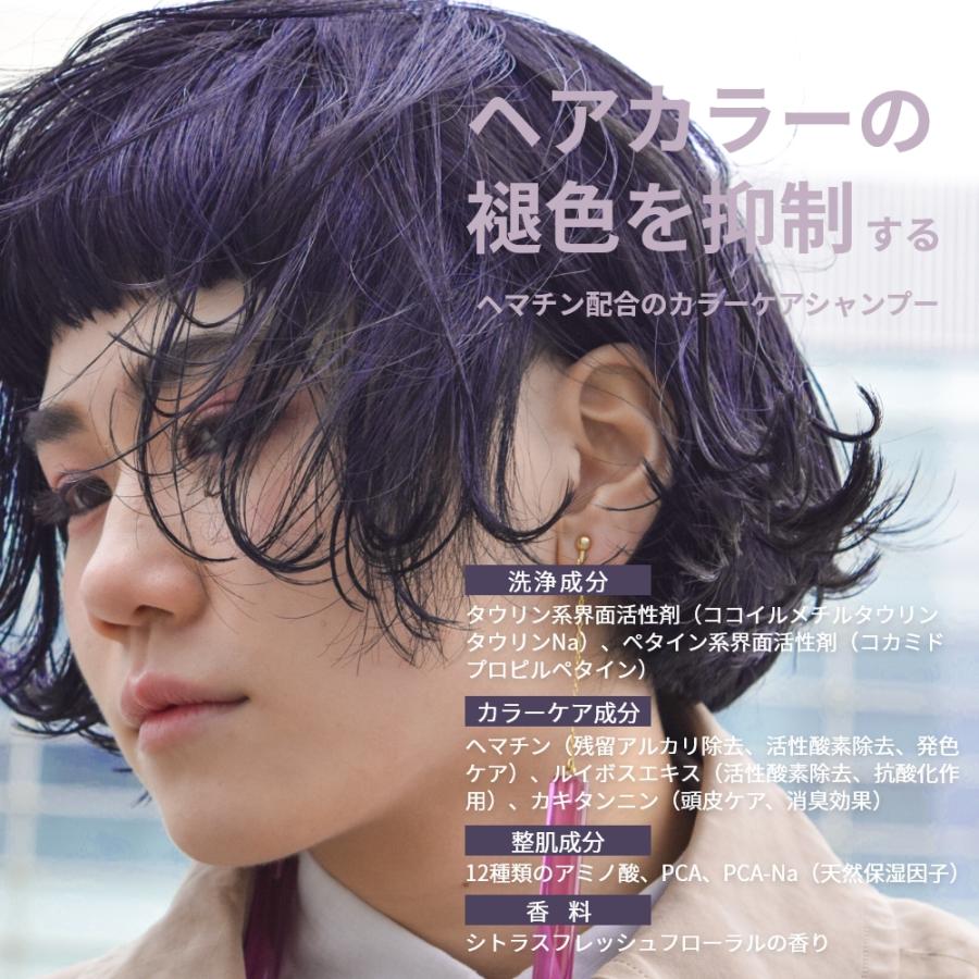 LUSTER シャントリ 1000ml セット | 傷んだ髪 カラーキープ 詰替