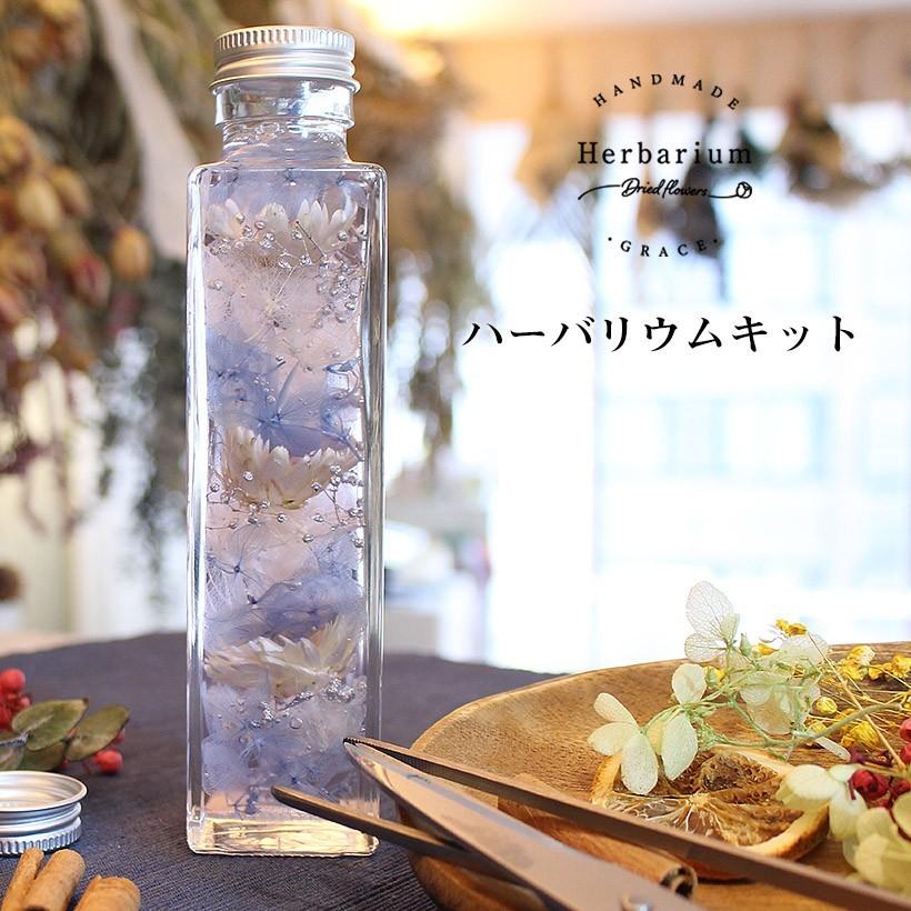 ハーバリウム キット [エレガンス] 紫陽花 作り方説明書付き 材料 ワークショップ イベント 工作キット 女の子 母の日 卒業 入学（Yahoo!・グレイスヤフーショップ）