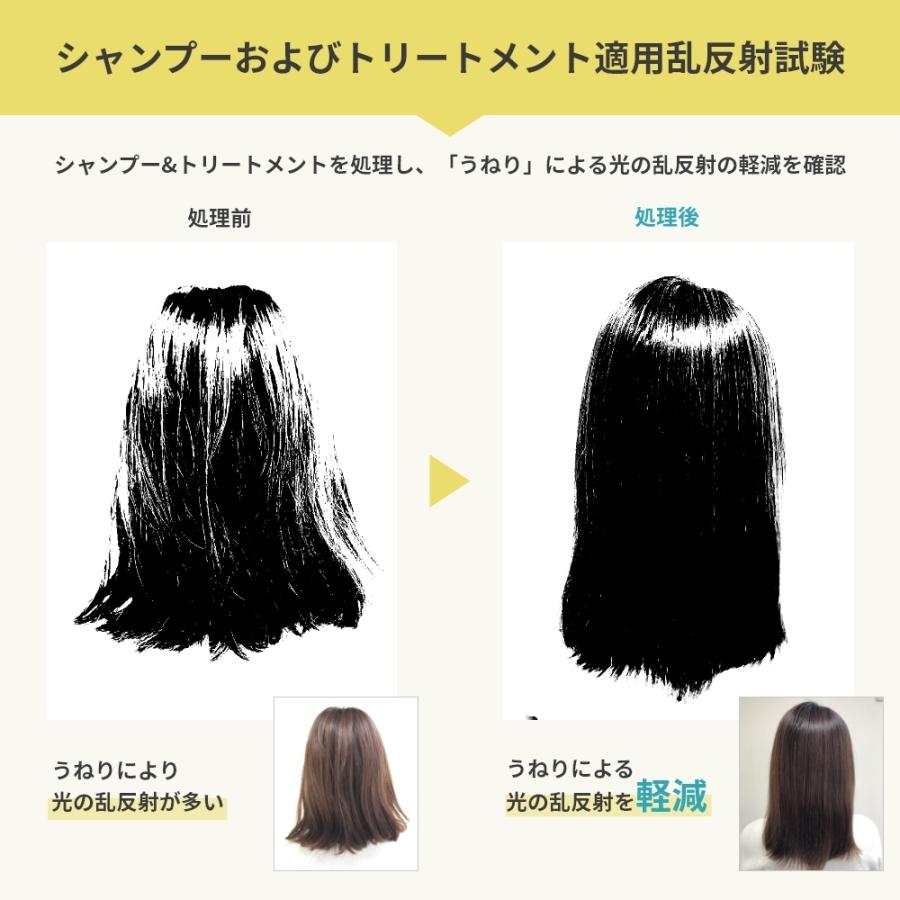 くせ毛 縮毛 用 シャンプー/トリートメント セット 各500ml
