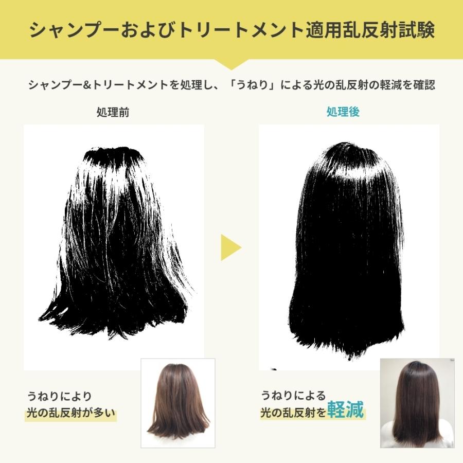 髪のうねり くせ毛 縮毛 縮れ毛 シャンプー トリートメント セット 各