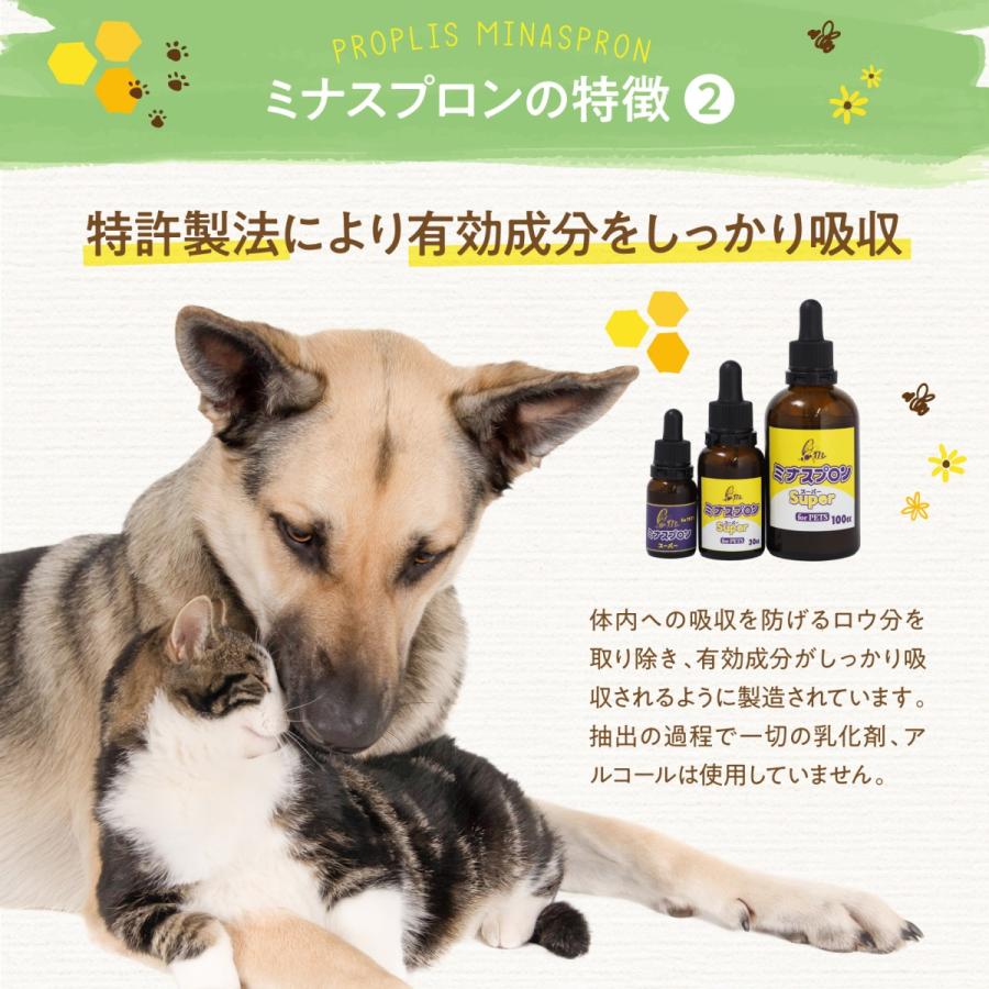 【正規販売店】 ミナスプロン プロポリス 100cc スーパー for PETS ペット用 高濃度 サプリメント 猫 犬 ハムスター うさぎ 鳥 小動物｜grackshop｜06