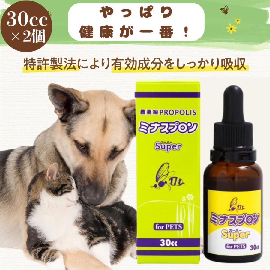 新品 サンタプロン ペット用 サプリメント 130cc Amazon | サンタプロン ペット用 130cc | サンタプロン