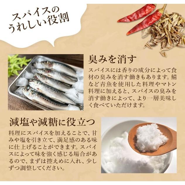 スパイスカレー カレー セット ターメリック クミンパウダー