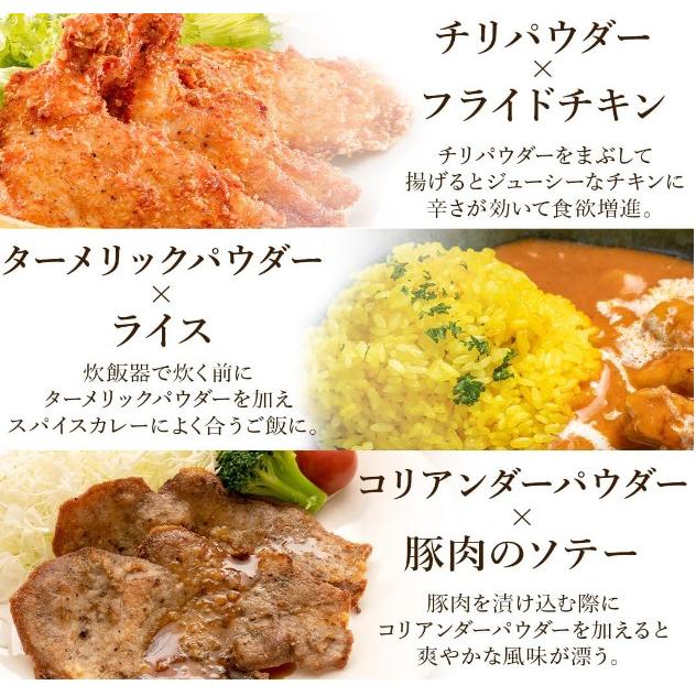 スパイスカレー カレー セット ターメリック クミンパウダー