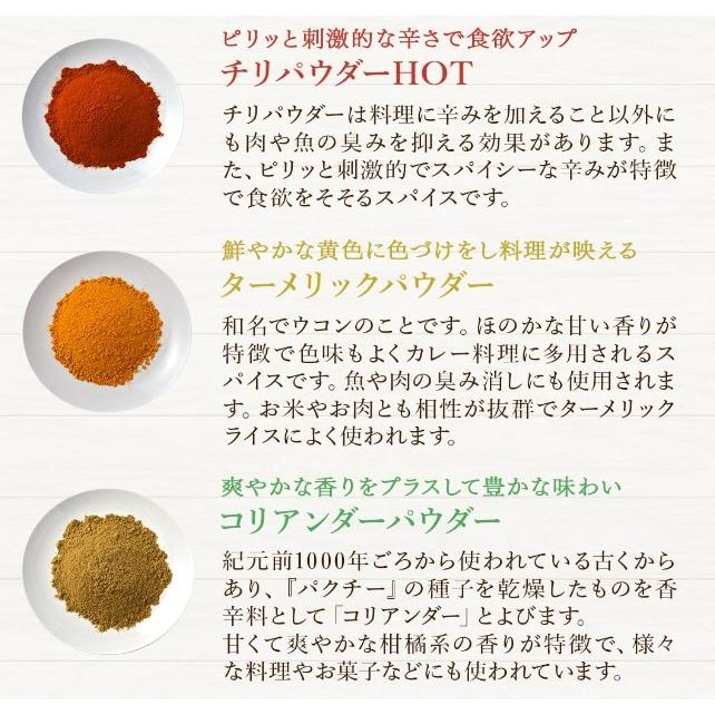 D'sTs公式】 スパイスカレー カレー セット クミンシード ターメリック