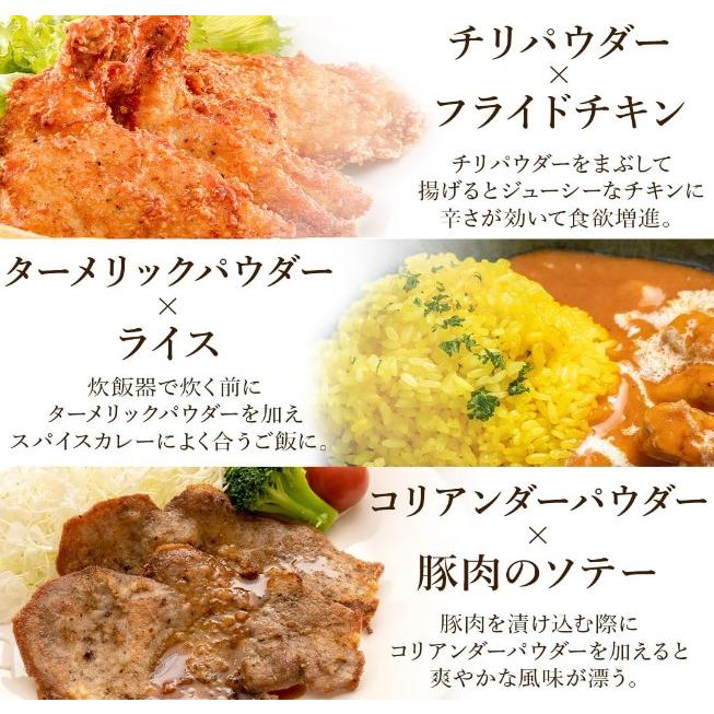 スパイスカレー カレー セット クミンシード ターメリック クミン