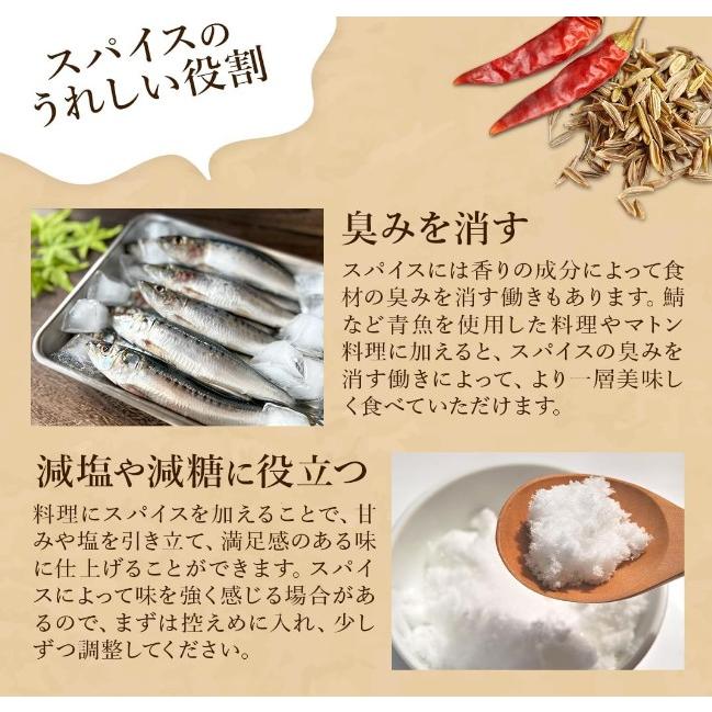 スパイスカレー カレー セット クミンシード ターメリック クミン