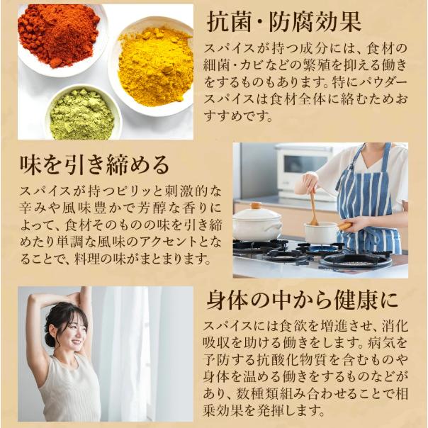 D'sTs公式】 スパイスカレー カレー セット クミンシード ターメリック