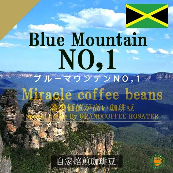 ジャマイカ・ブルーマウンテンNO.1 200g 自家焙煎コーヒー豆 浅煎り