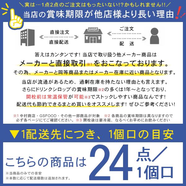 ジーエスフード GSブルーベリーフルーツソース 500g  12本 ケース | ジーエスフード | 07