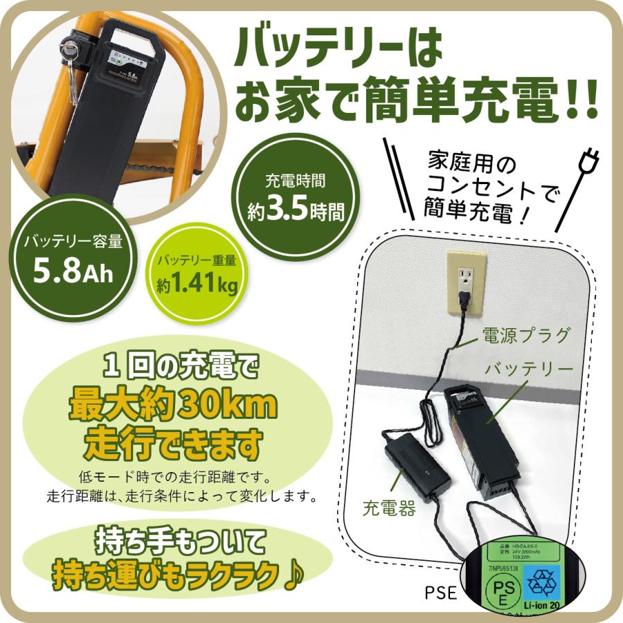 ポタリクル 三輪車 大人用 電動アシスト自転車 3輪 18インチ 高齢者